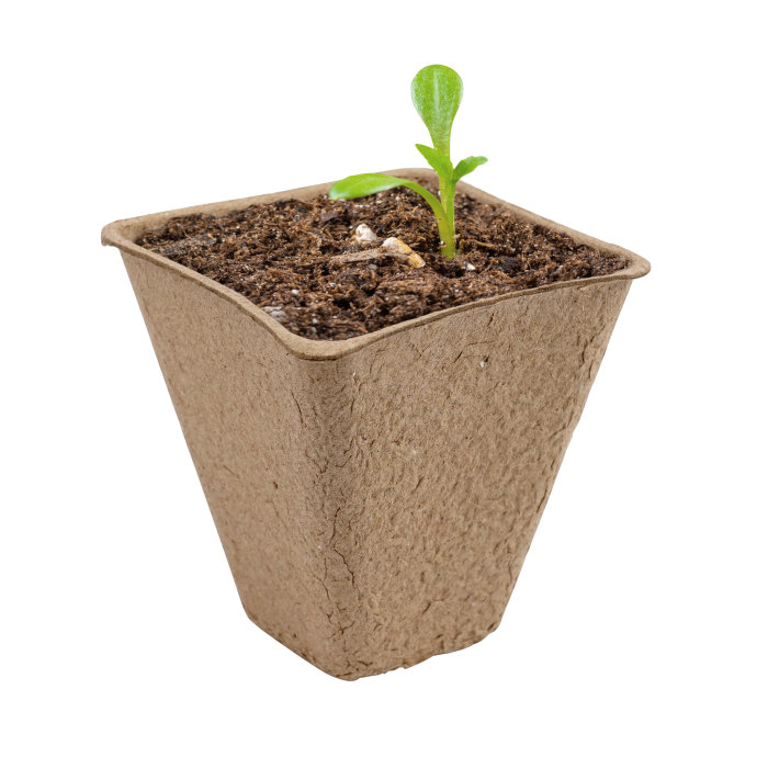 Fiberkruka 15-pack Garden